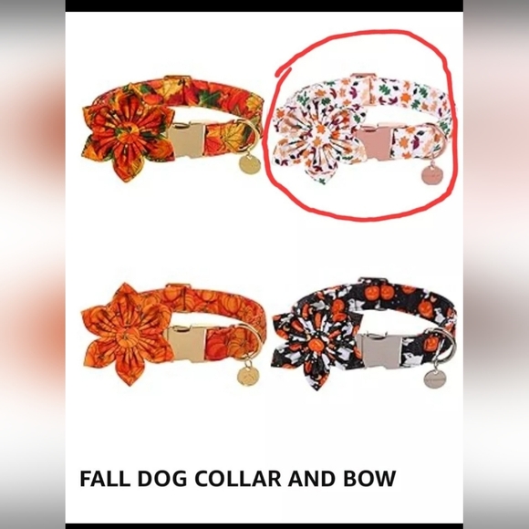 Dogwong Fall Collar With Flower XS/Small - Picture 7 of 8